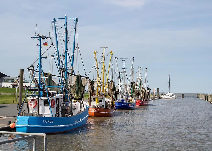 Knechtsand 15 بيت للعطل دورم نيوفيلد